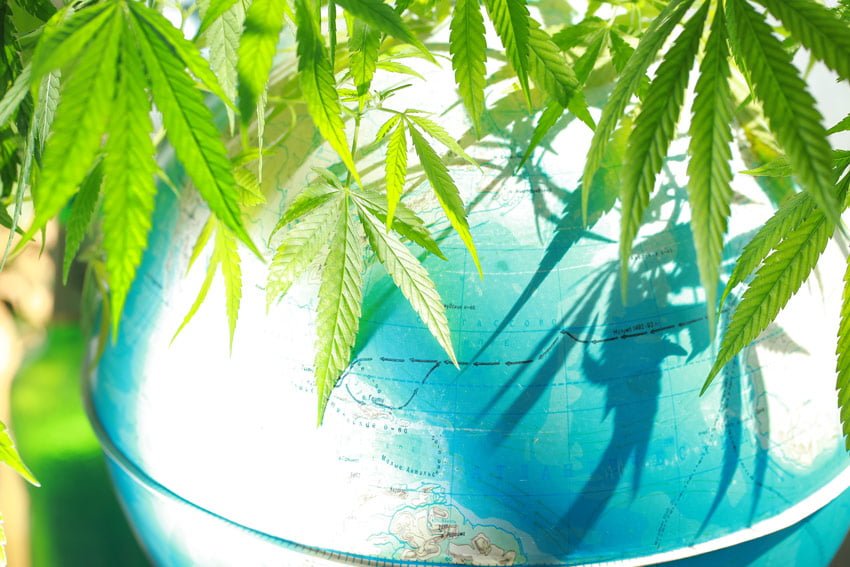 BREAK OUT THE PASSPORT: Cannabis Profits Are Going Overseas!